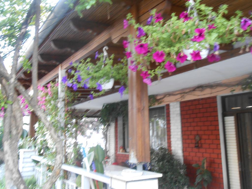 Hotel Germany Paralia Katerinis Ngoại thất bức ảnh