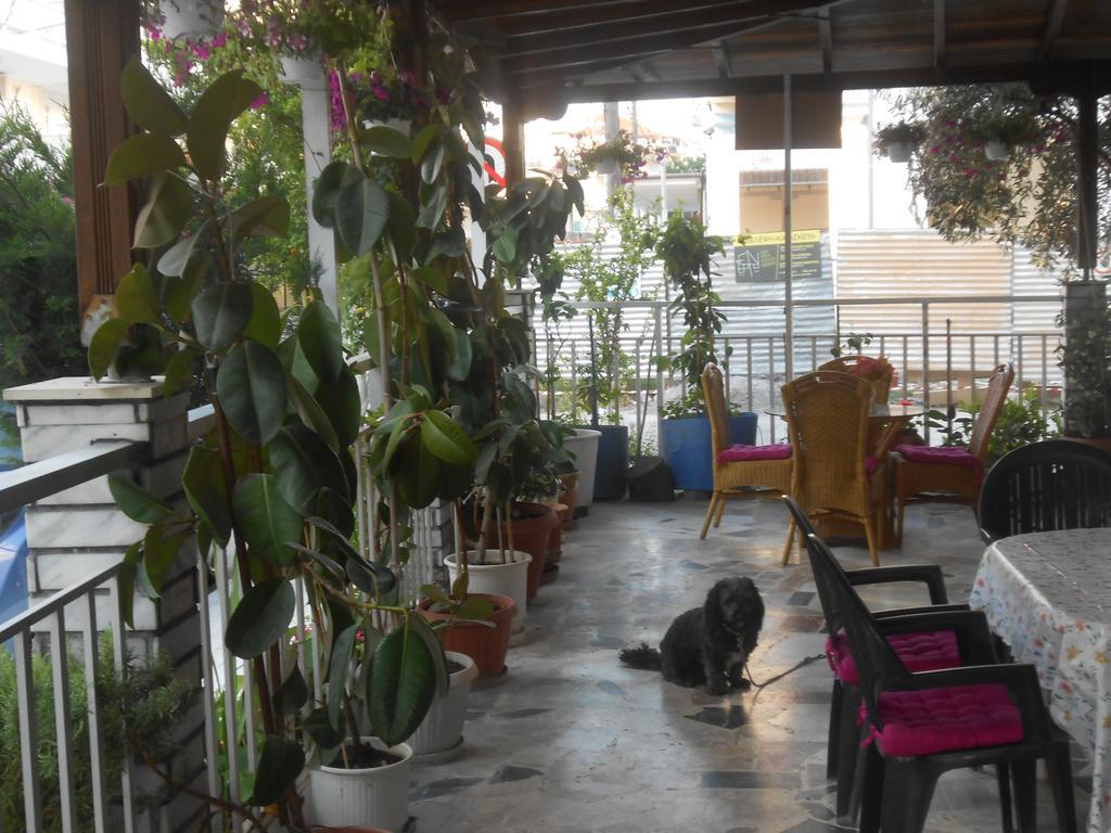Hotel Germany Paralia Katerinis Ngoại thất bức ảnh